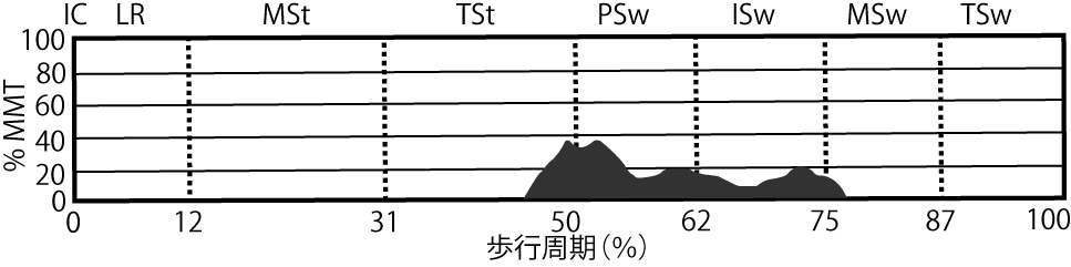 長内転筋のEMG