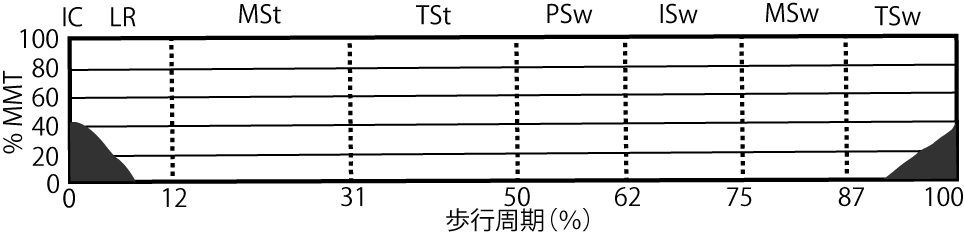 大内転筋のEMG