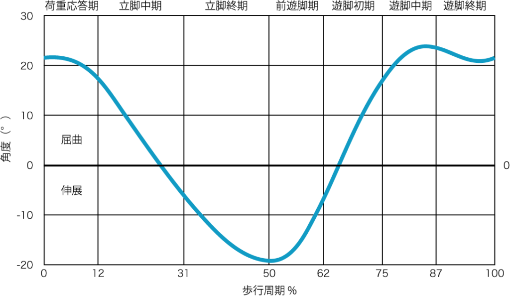 矢状面における股関節の運動