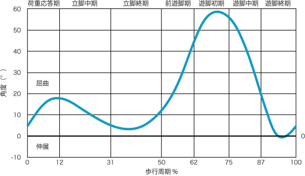 矢状面における膝関節の運動
