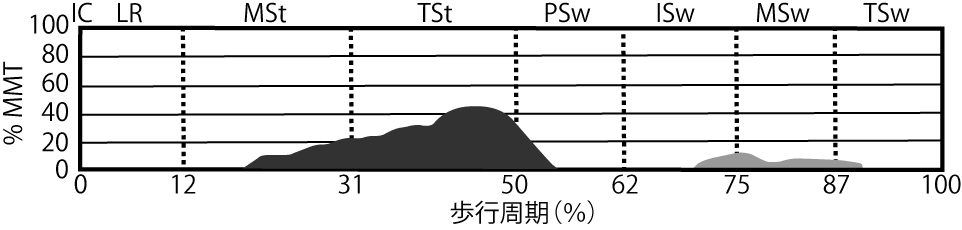 短腓骨筋のEMG