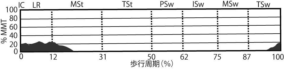 中間広筋のEMG