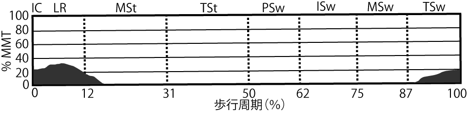 外側広筋のEMG
