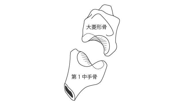 医師に相談するタイミング